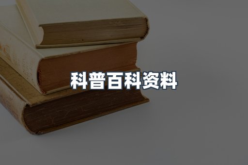 外文电子书系列